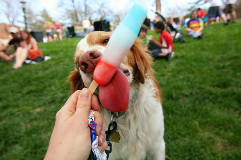 Keep pets safe in extreme heat