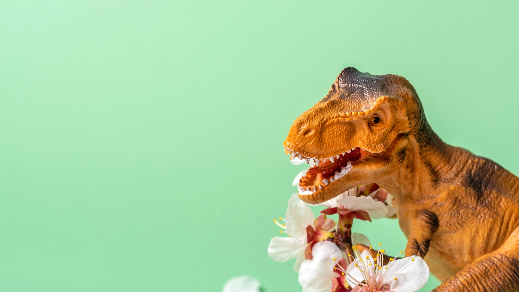 Would you kiss a T. Rex? The discovery of Jurassic lips