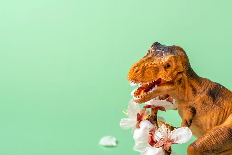Toy dinosaur Tyrannosaurus holding apricot flower in its paws on green background Holiday card Happy birthday, women's, mother's day creative minimal concept
