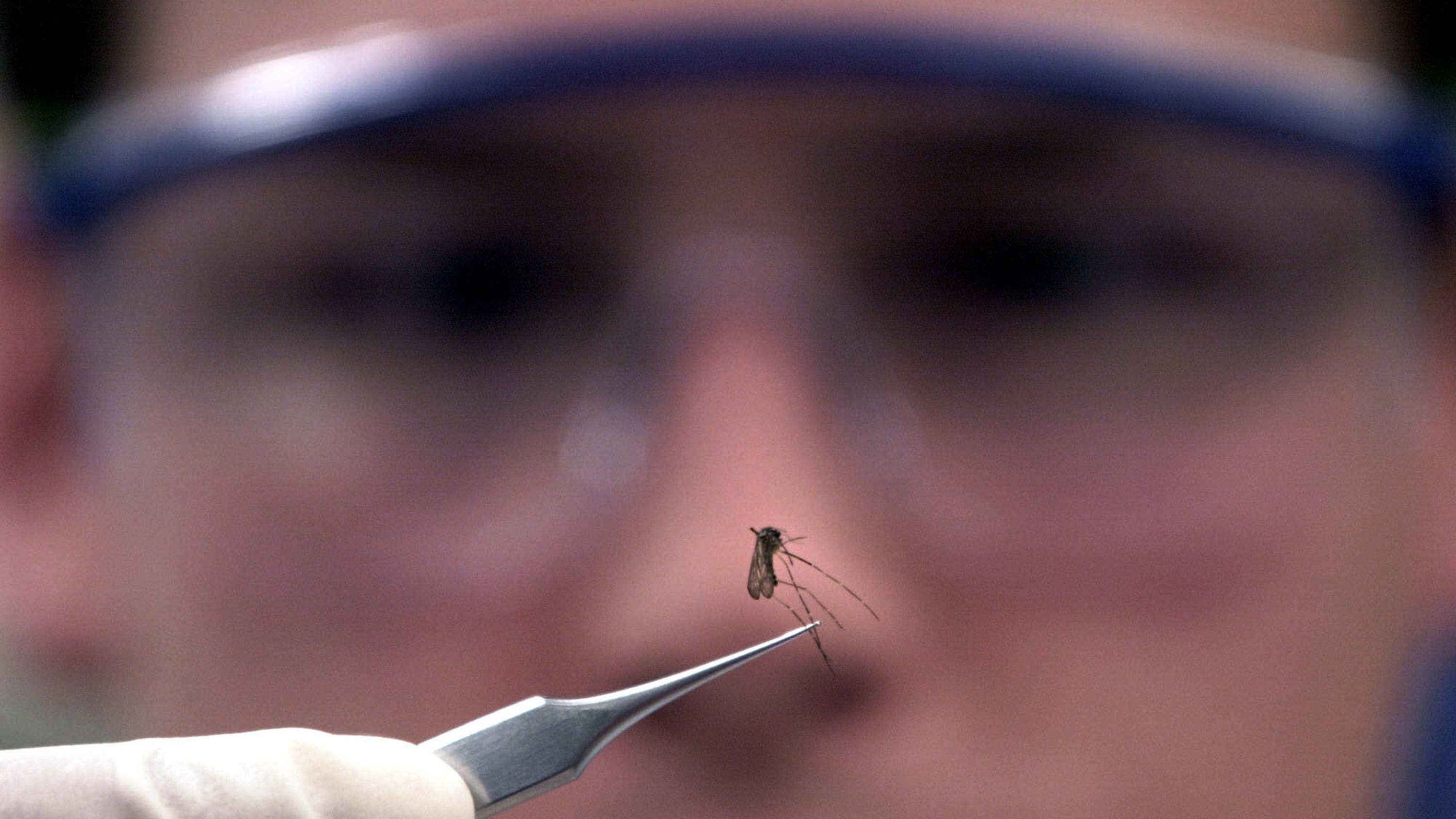 L.A. County announces first human cases of West Nile virus