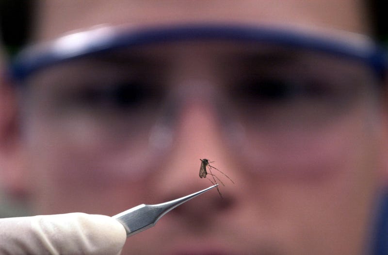 LA County Announces First Human Cases of West Nile Virus