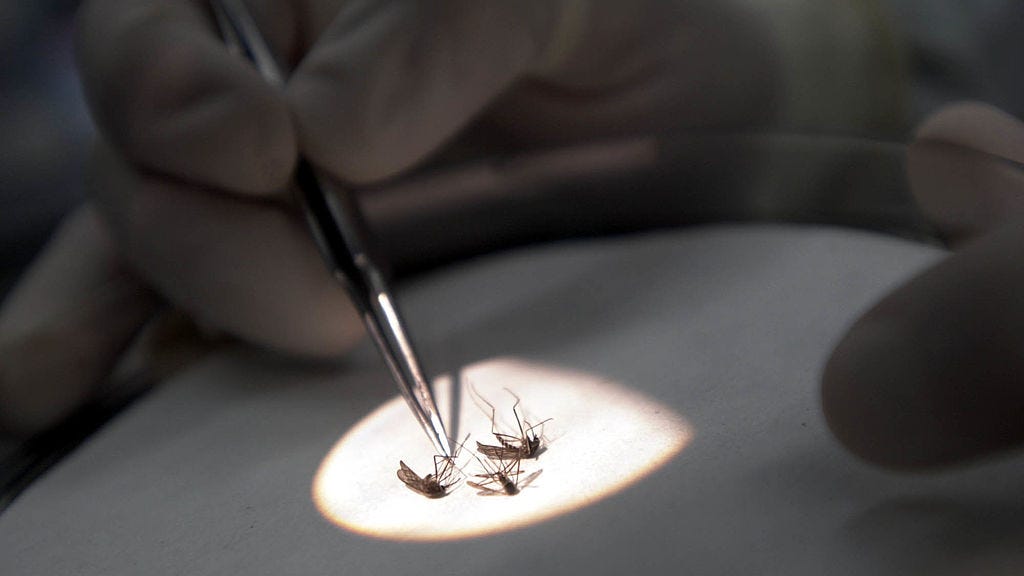 West Nile virus detected in 2 New Yorkers; virus in mosquitos 'rising': health officials
