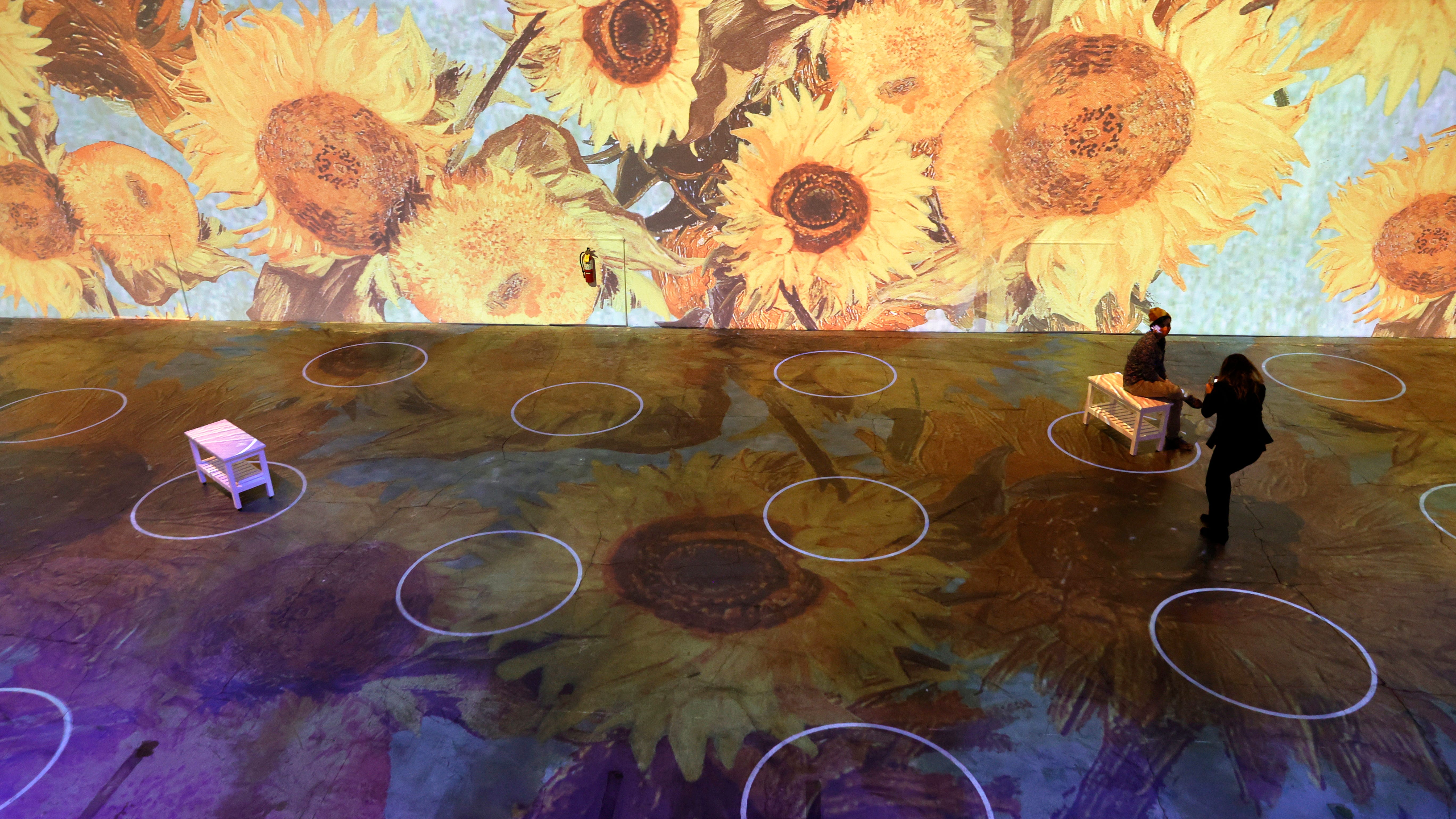 'Beyond Van Gogh: The Immersive Experience' a new exhibit now open in San Jose