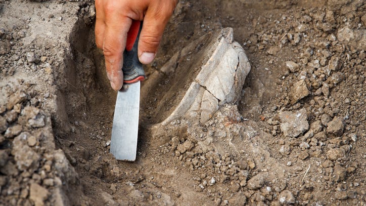 Scientists find fossil of snake-like creature with hind legs