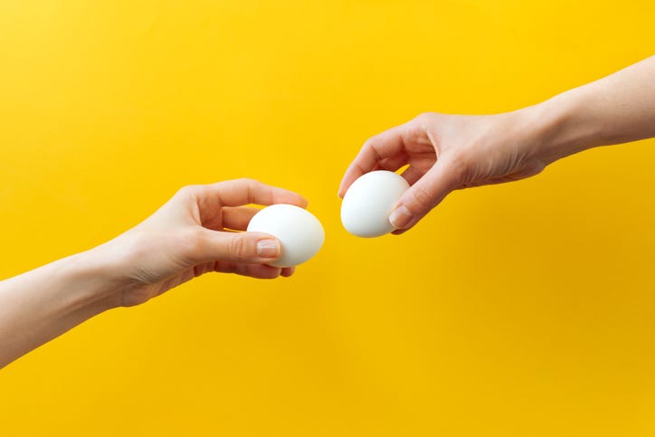 holding eggs