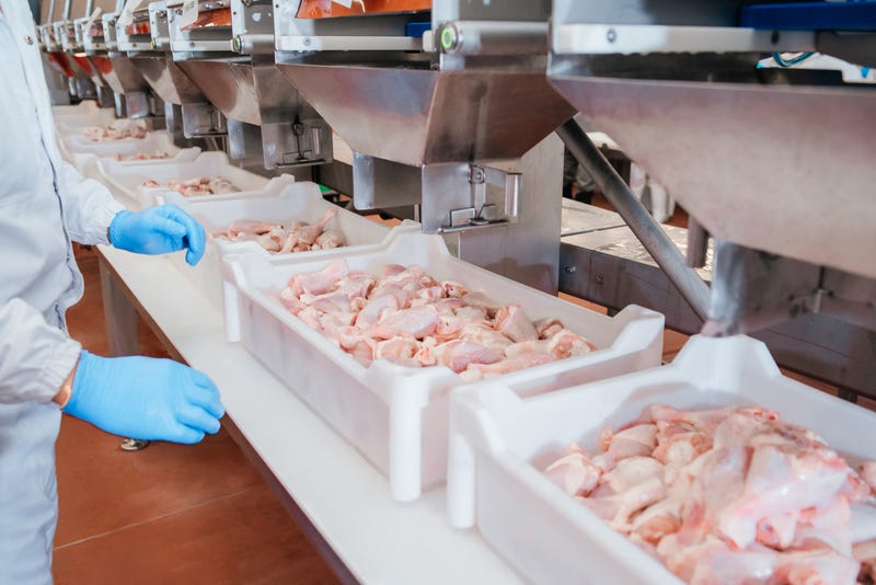 Industrial equipment at a meat factory.Chicken fillet production line . Factory for the production of food from meat.Automated production line in modern food factory. Ravioli production.Meat processing plant.