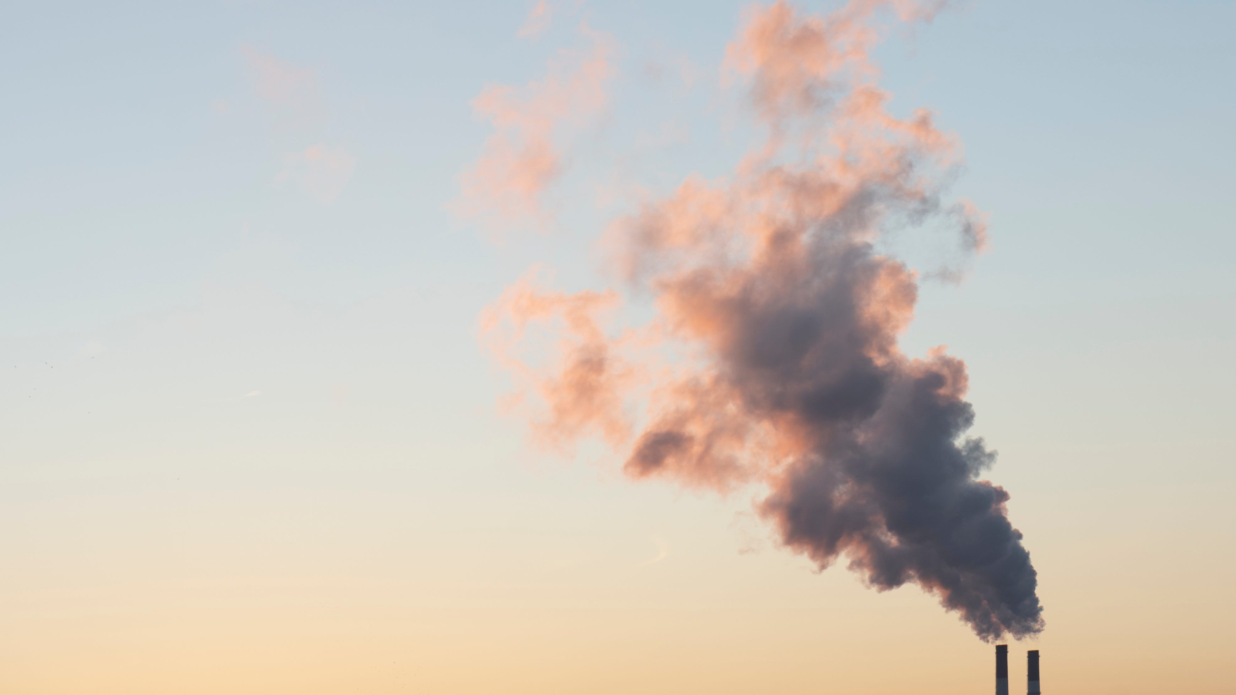 Chicago settles with environmental justice activists: 'We did it … I can breathe'