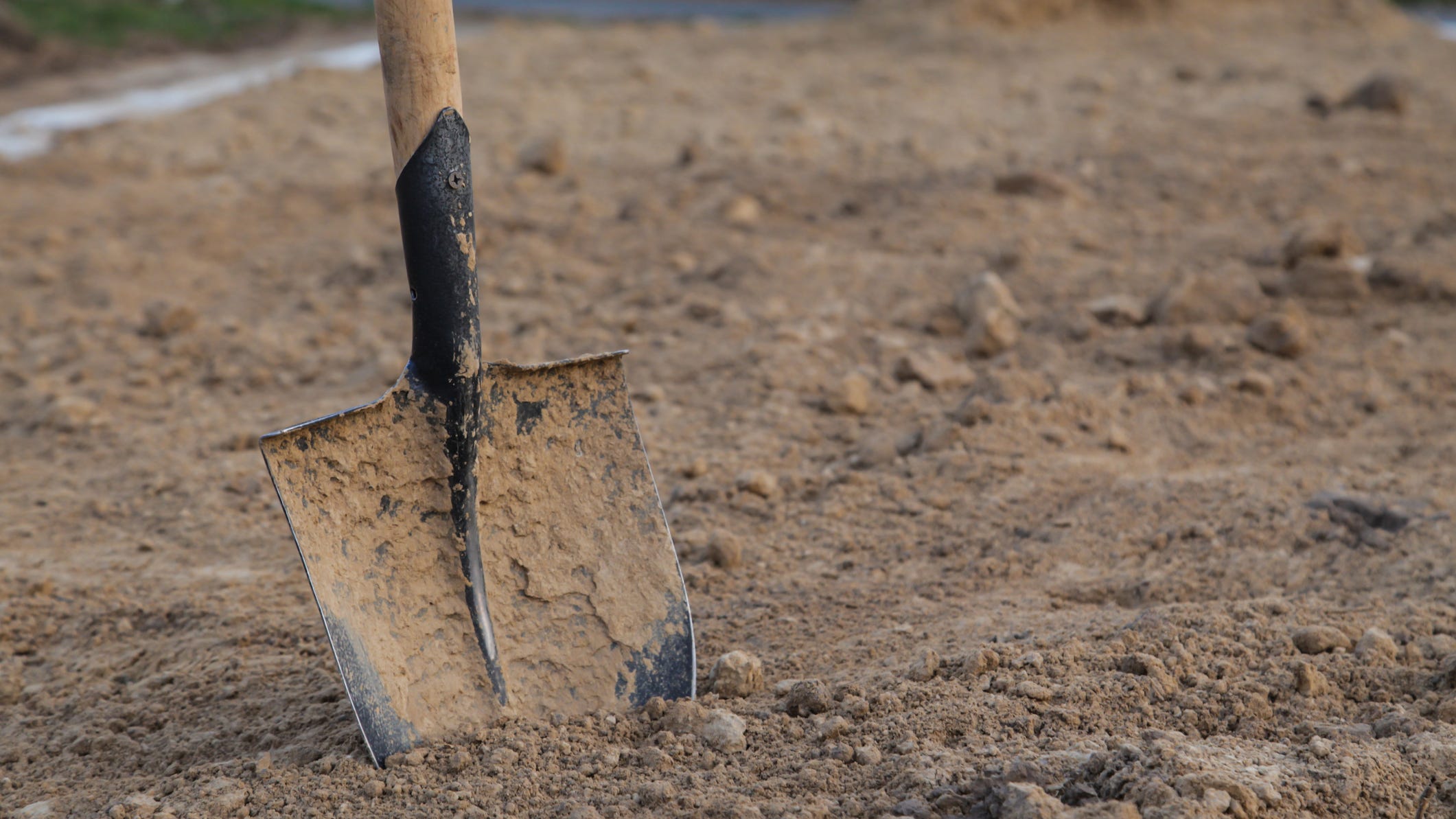 Farmer finds byzantine mosaic while trying to plant trees