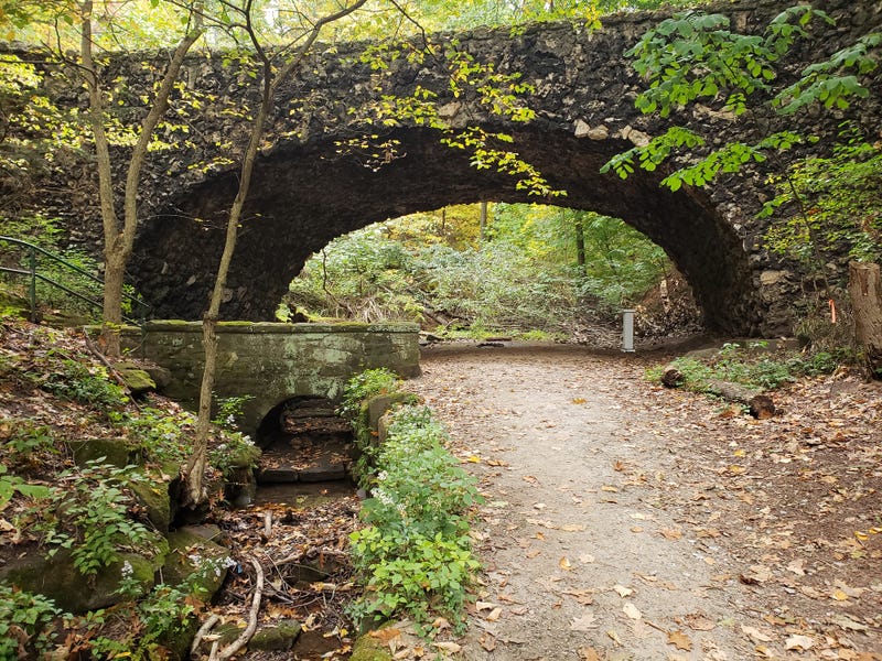 Frick Park