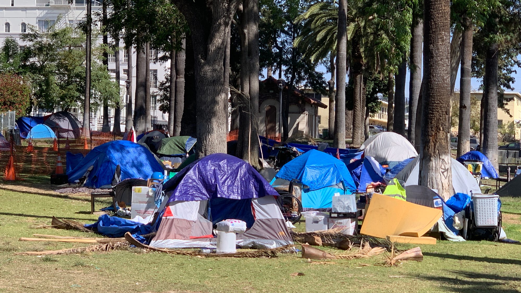 Homeless deaths spiked during pandemic, overdoses remain top killer: study