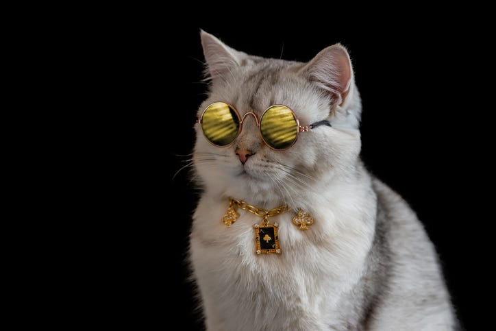 Cat model