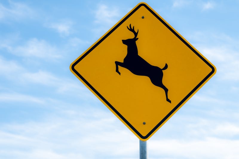 A deer running out into the roadway in mid-Michigan caused a very serious motorcycle crash that killed one woman and critically injured her husband early Wednesday morning.