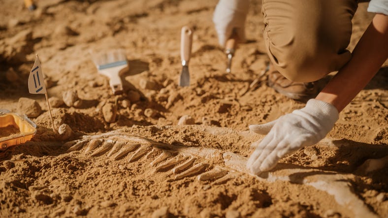 'Perfectly preserved' baby dinosaur found inside fossilized egg