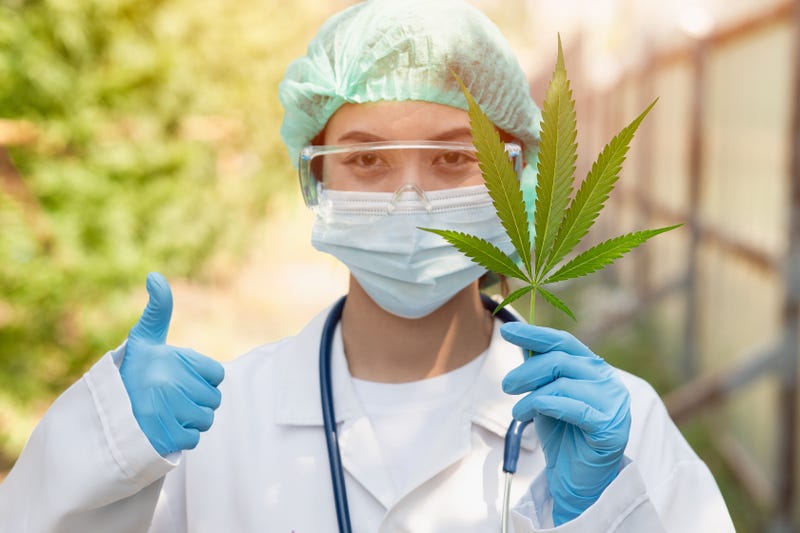 Supervisors OK Permits for Cannabis Cultivation Operation in Sage