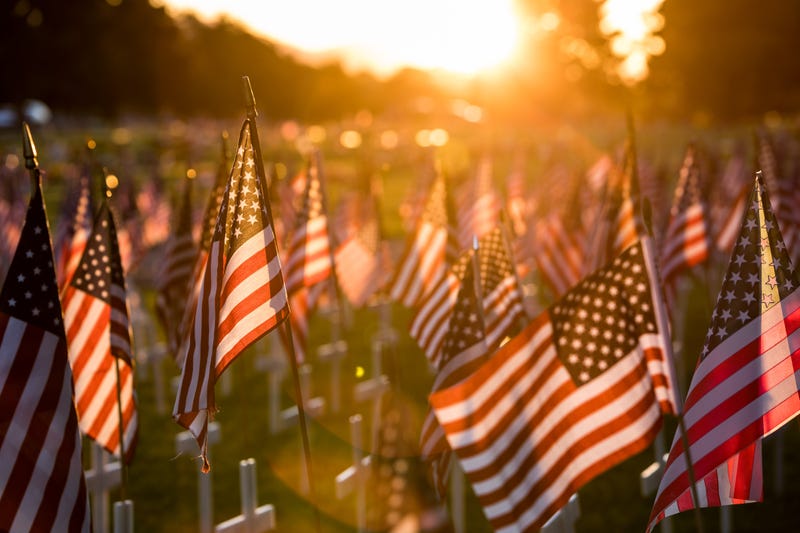 Field of American flags. 