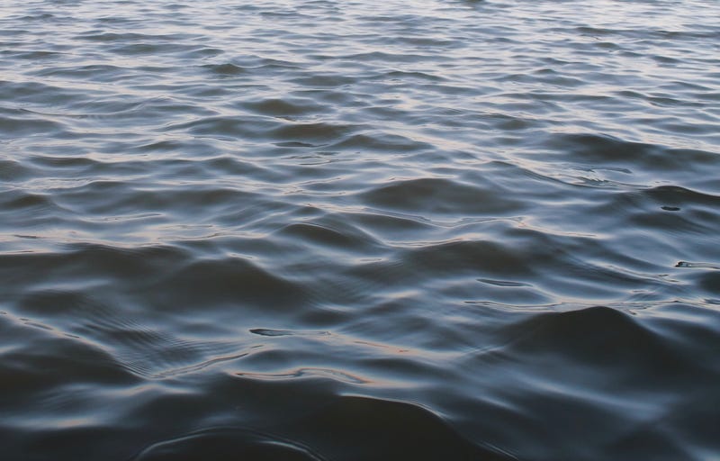 A young Illinois boy visiting his family's lake house in Southwest Michigan drowned on Friday afternoon at Indian Lake.