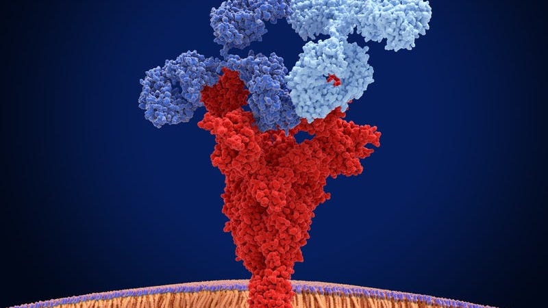 Mayo Clinic says antibody treatments work against COVID