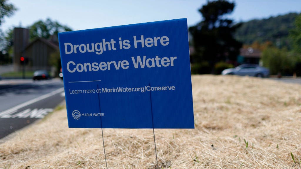 How Bay Area's dead trees present twin risks amid drought