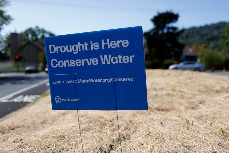 A sign advocating water conservation is posted in a field of dry grass on April 23, 2021 in San Anselmo, California. 