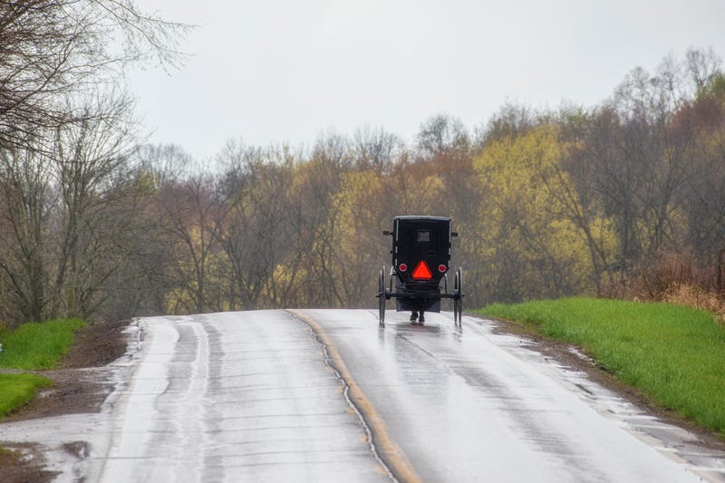 Amish buggy