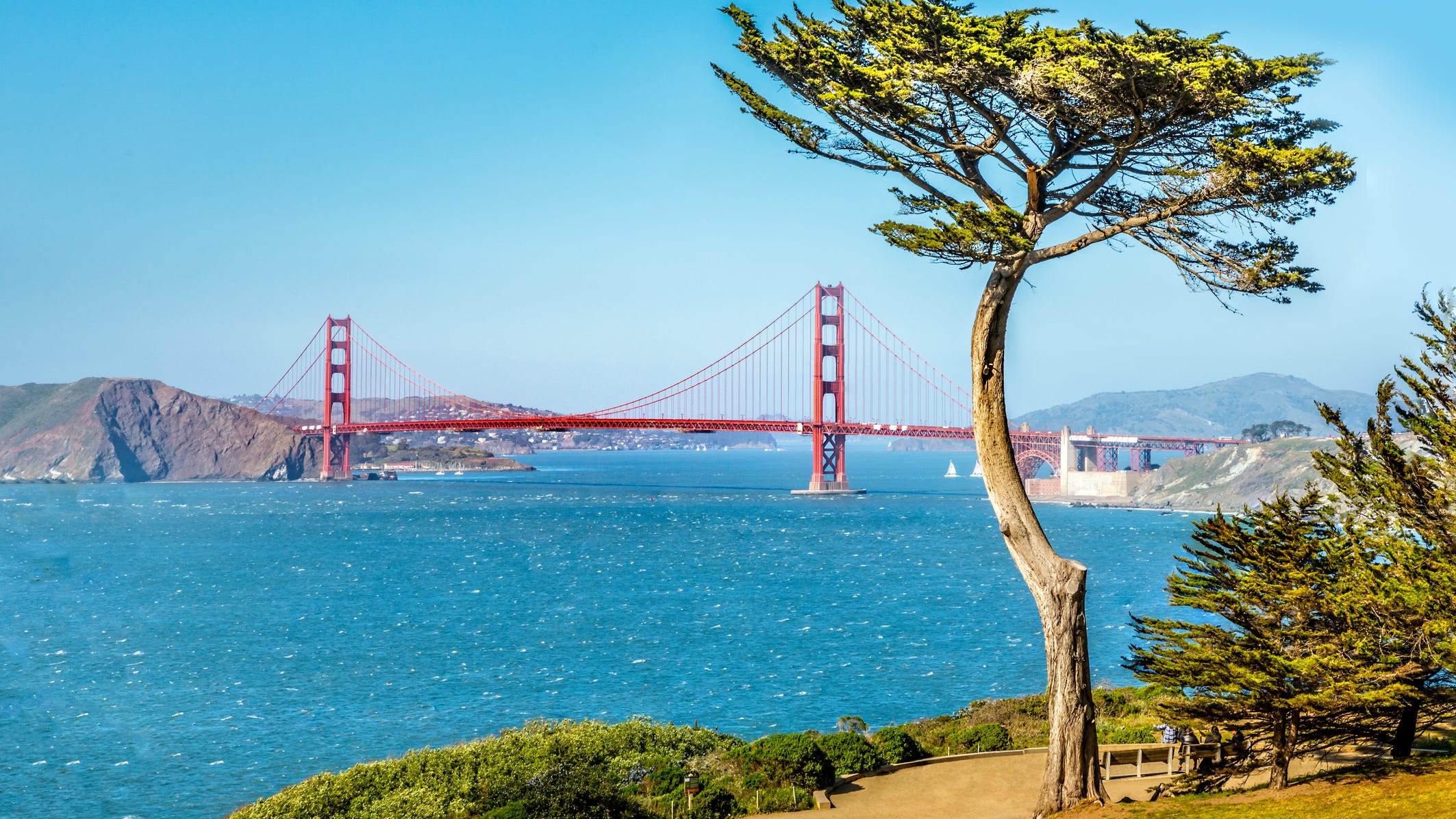 Peninsula councilman assaulted with brick in San Francisco