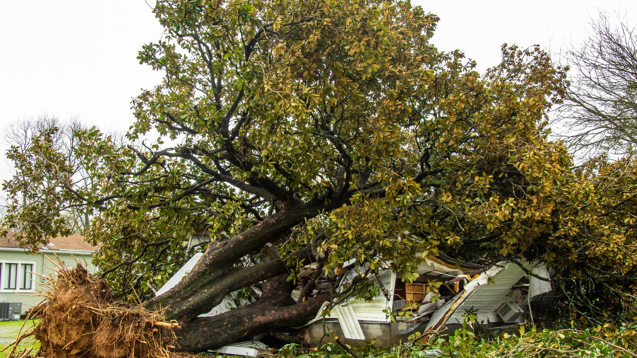 At least 23 people injured in Texas tornado