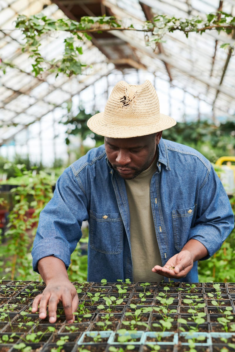 Ground to be broken on Far South Side greenhouse in early 2022