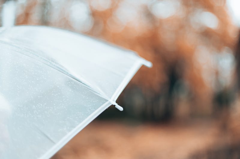While a sprinkle of rain will damp areas in Southeast Michigan Thursday night, weather experts said it won't be enough to help as 2022 goes down as the one of Michigan's driest years on record.