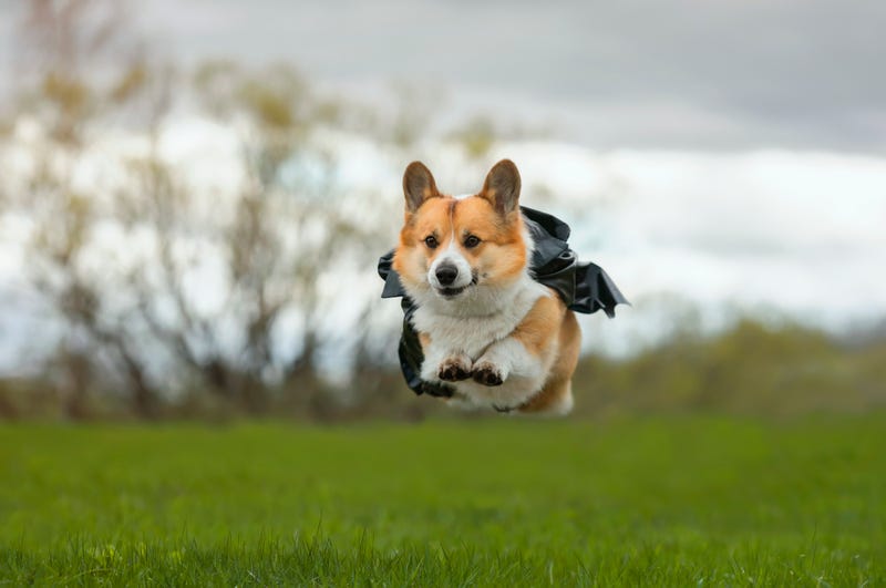 Saturday brings summer-like temperatures, windy cold front arrives Sunday