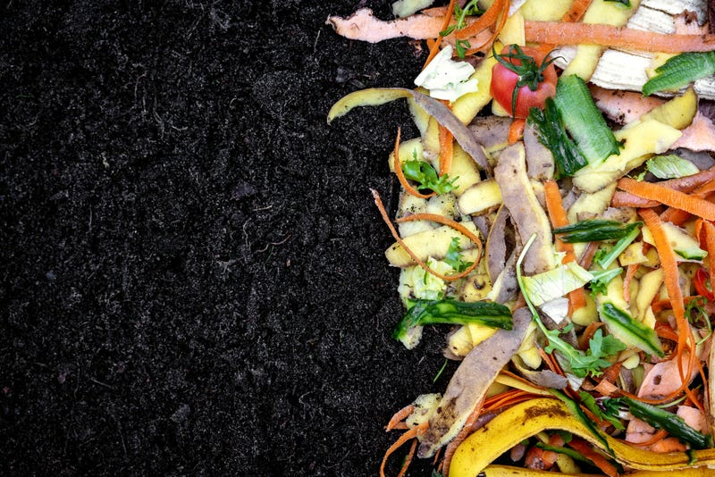 biodegradable kitchen waste on soil. composting organic food leftovers. copy space