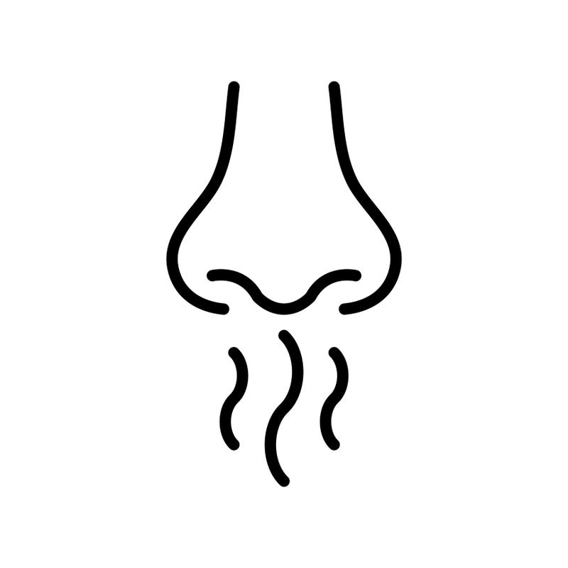 Odor