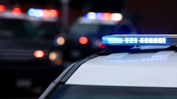 Police arrest 31 with white nationalist ties near Pride parade