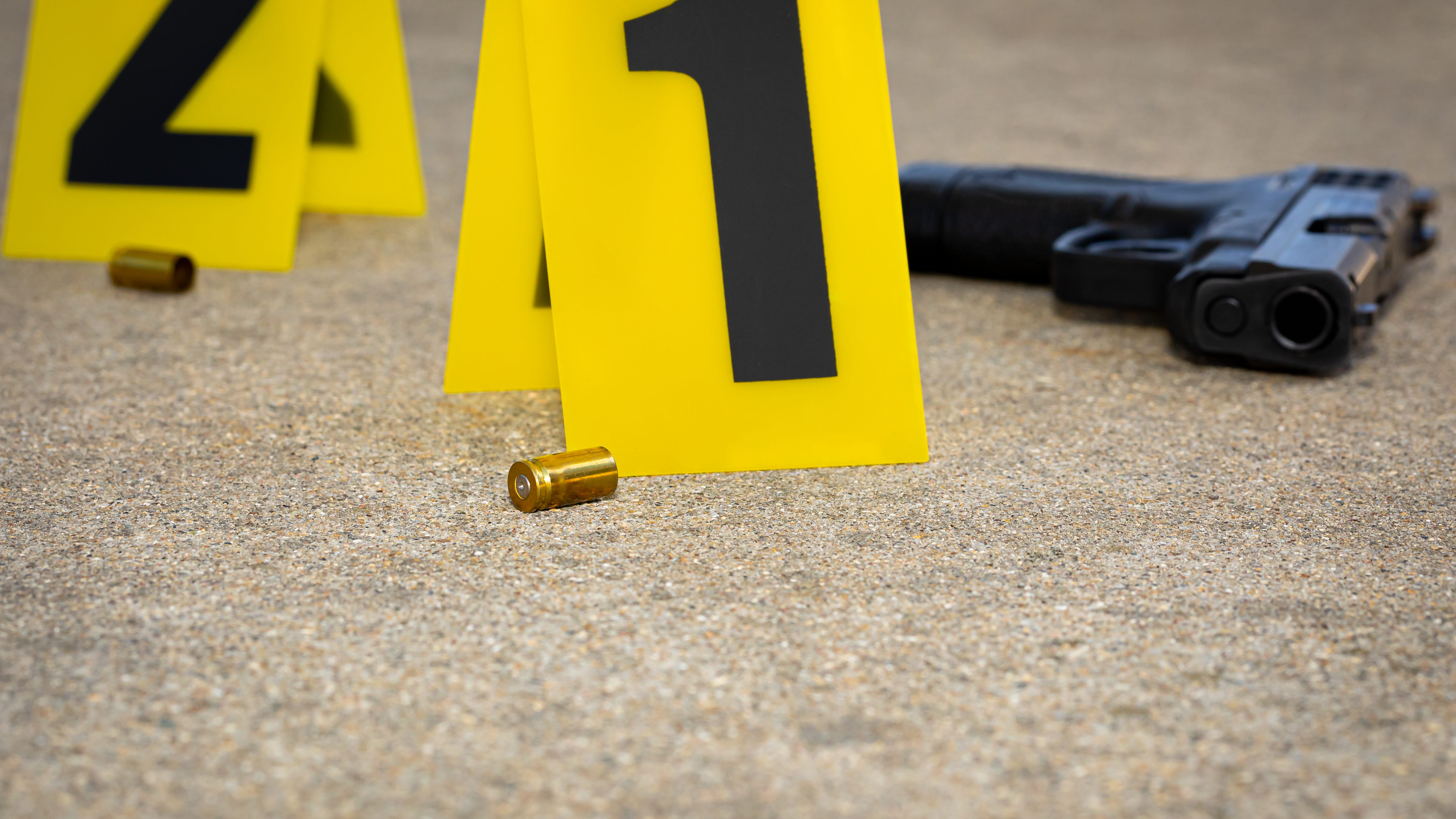 UPDATE: Off-duty officer fatally shoots alleged gunman who opened fire at family reunion in South Holland