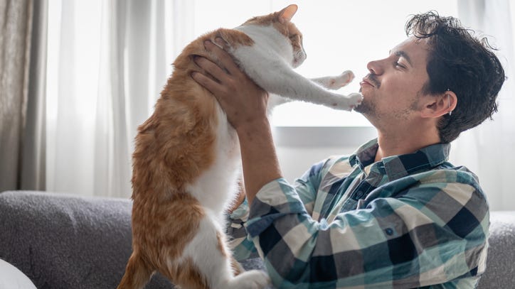 New documentary debunks stereotypes about men who love cats
