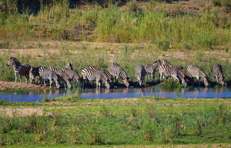 Sabie river, Kruger National Park
