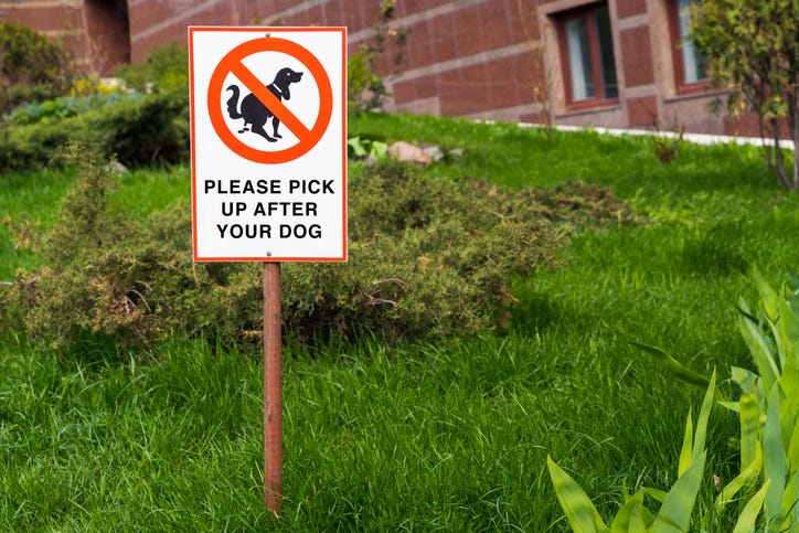 Pick up dog poop