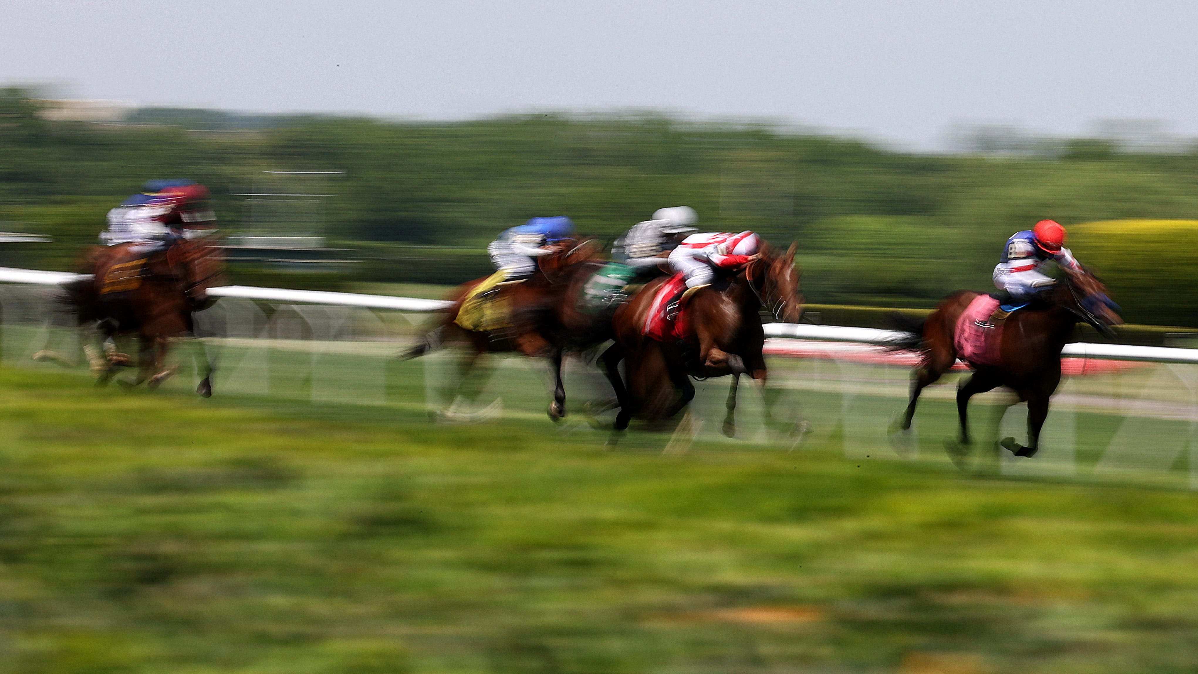 Trainer, NY vet plead guilty to drugging racehorses: feds