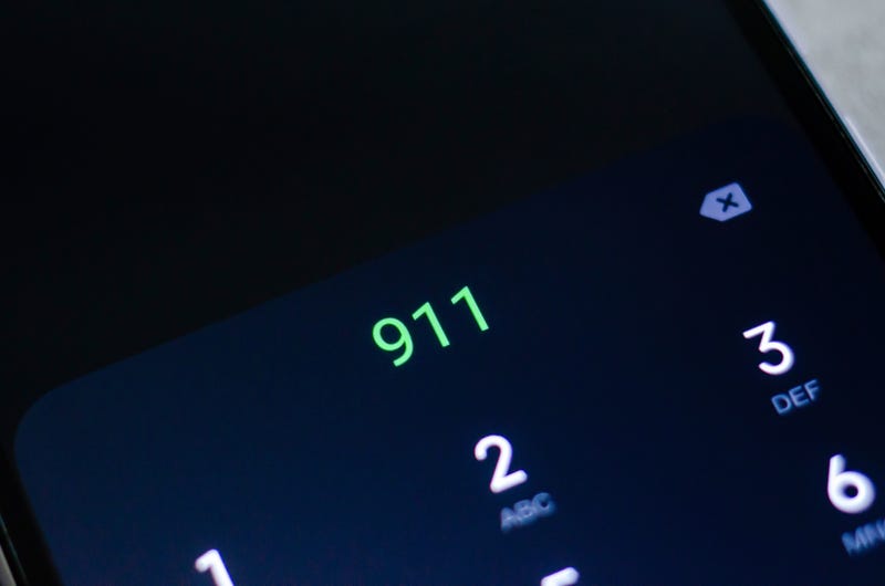 Panicked voices screamed for help at 911 dispatchers in new recordings released on Friday of a wild shootout in Ray Township two days prior.