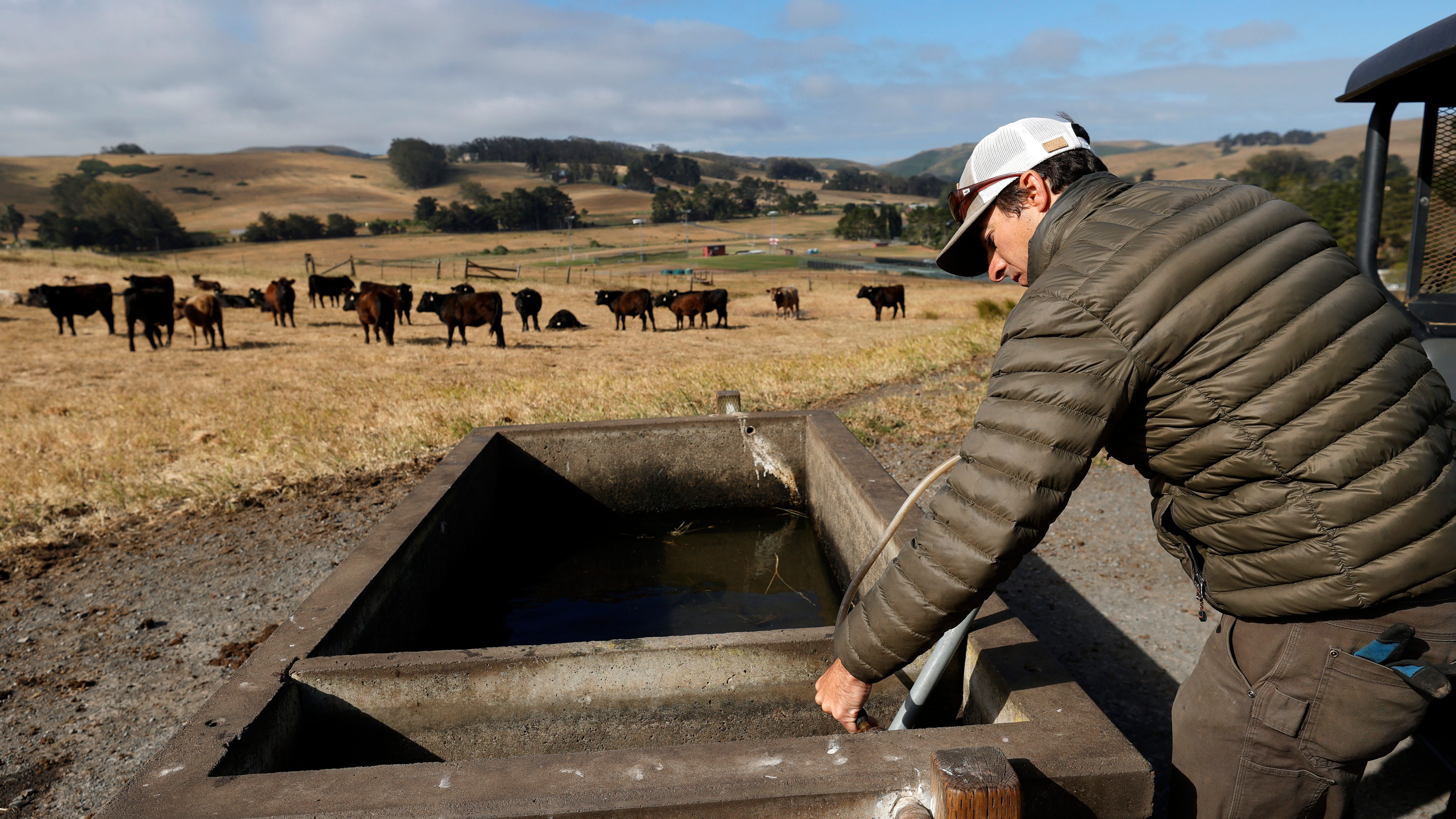 California's drought now covers entire Marin, Sonoma coastal region