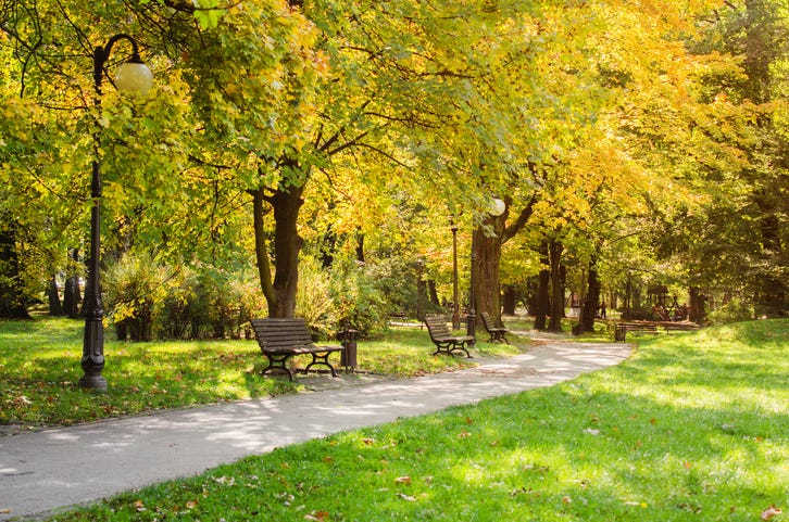 Park