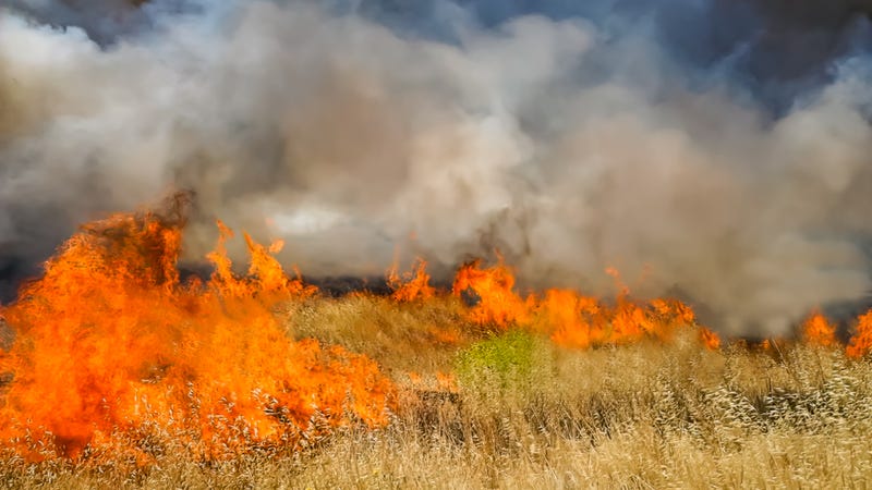 Texas Wildfires