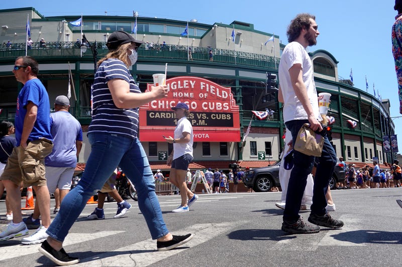 cubs