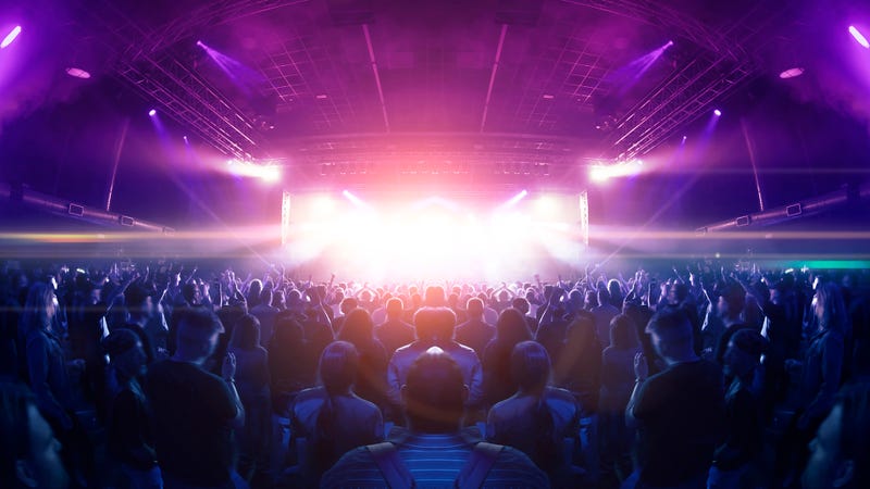 Concert crowd