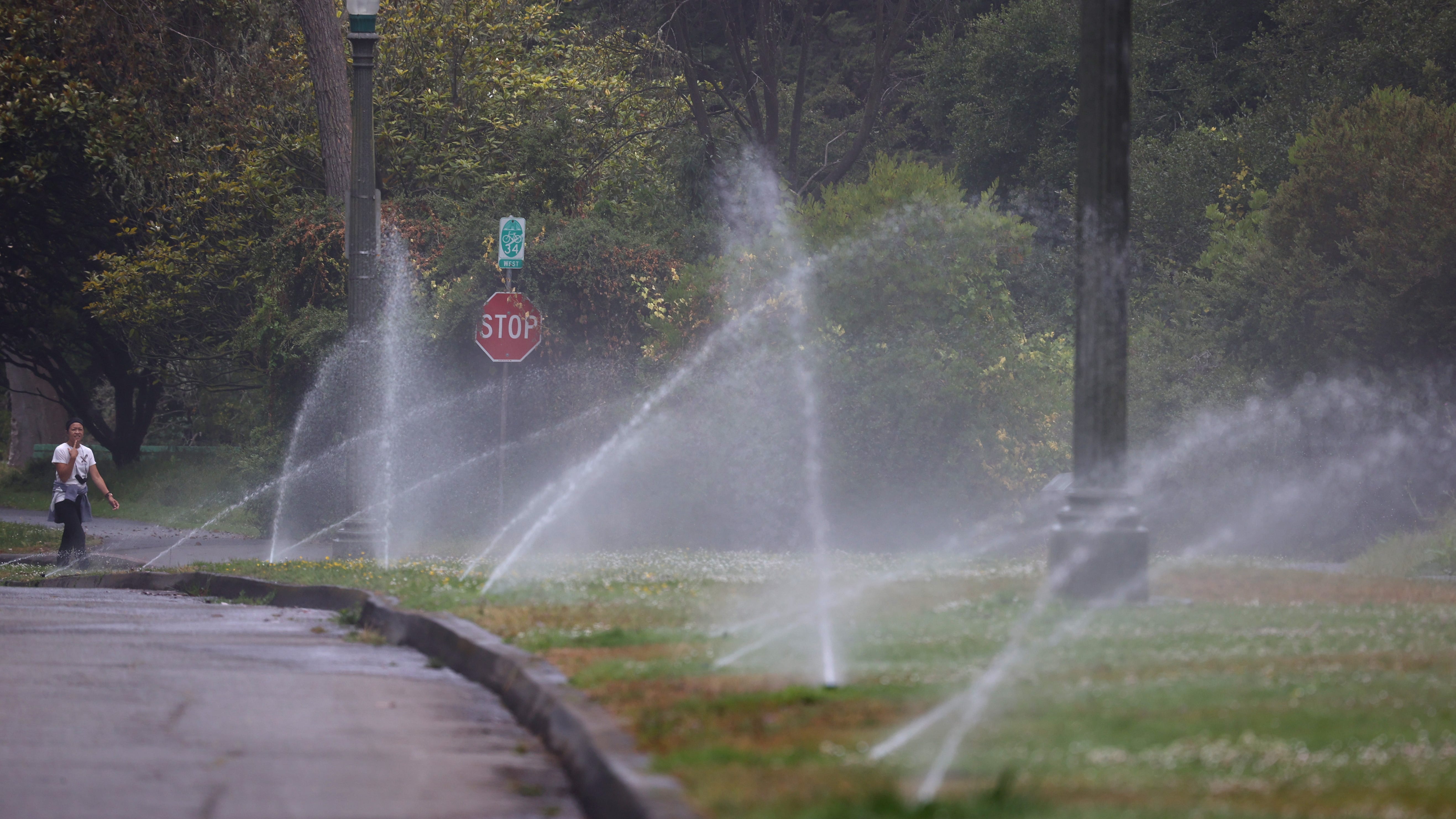San Francisco declares water shortage emergency, affecting almost 3M across Bay