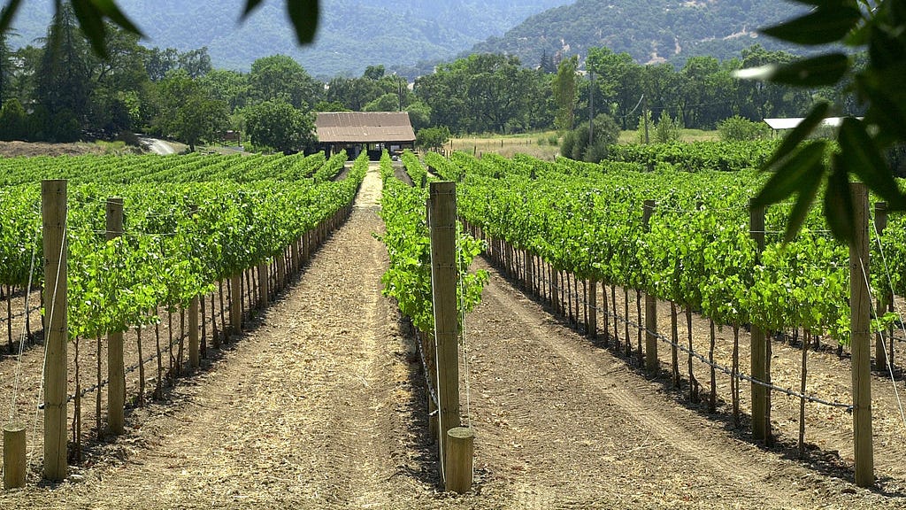 Bottle of wine sells for record $1M