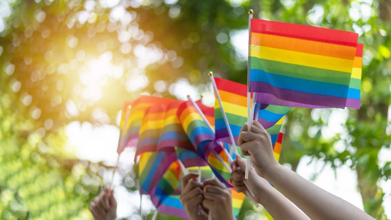 hands holding mini pride flags