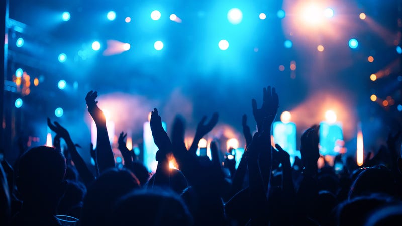 Crowd at concert