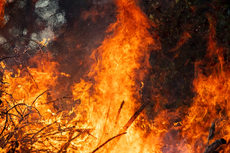 Close-up of Fire Exploding and Blaze fire flame of forest fire