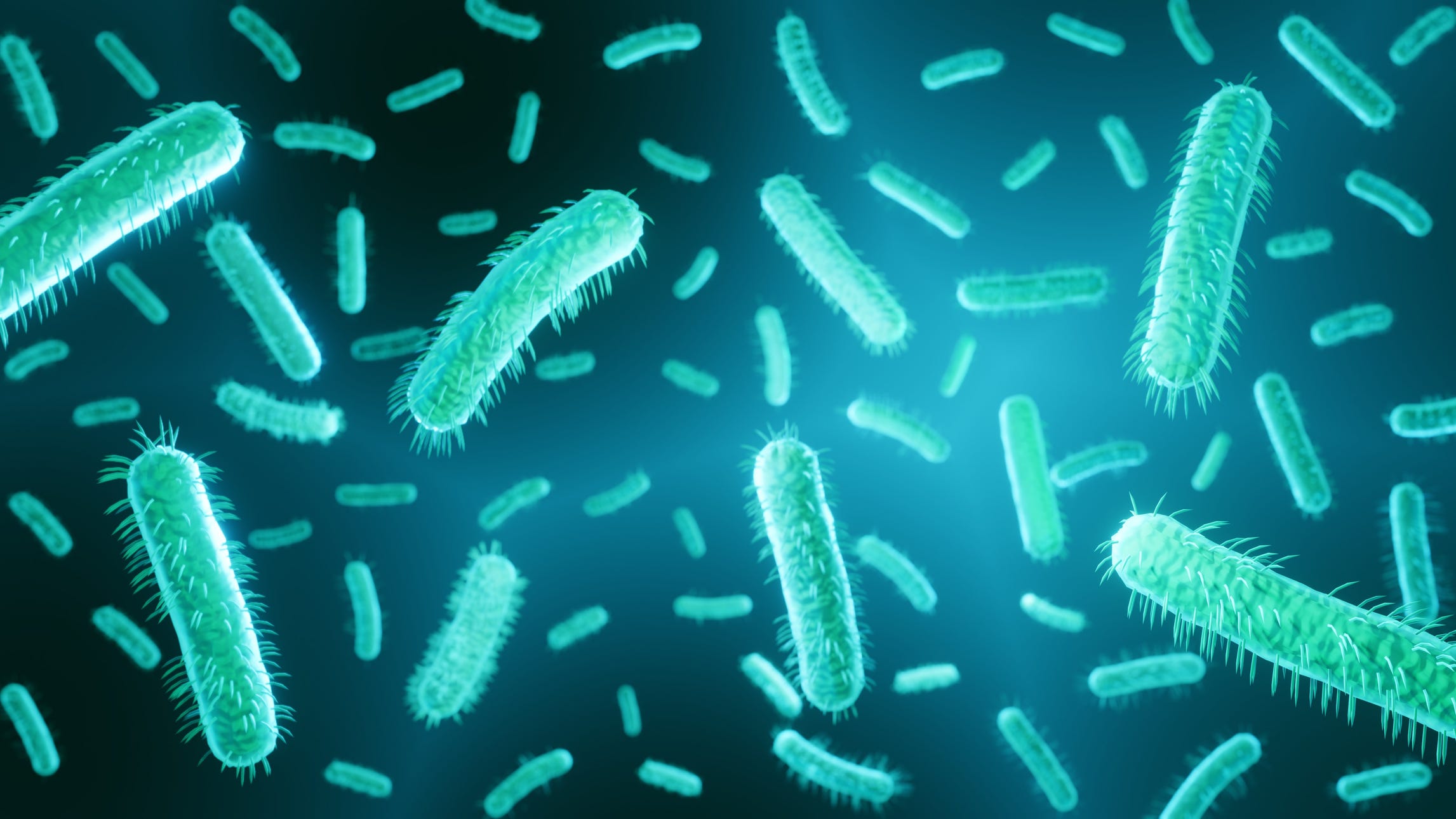 MDHHS monitoring 'significant jump' in E. coli cases across the state, including in Oakland County