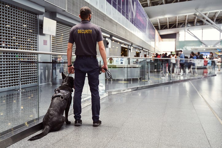 TSA agent at Detroit Metro Airport comes under fire after a video of him mistreating a security dog goes viral